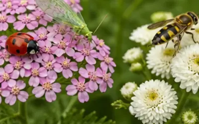 Beneficial Insects Every Garden Needs 2026: Reviews and Buying Guide
