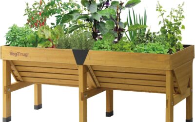 Best Cedar Raised Garden Bed Kit 2026: Reviews and Buying Guide