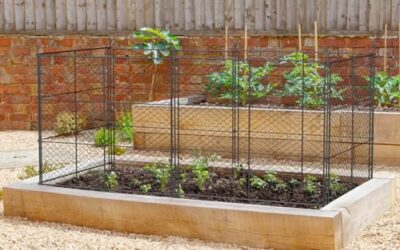 Choosing a Deer Fence for Vegetable Garden: A Practical Guide