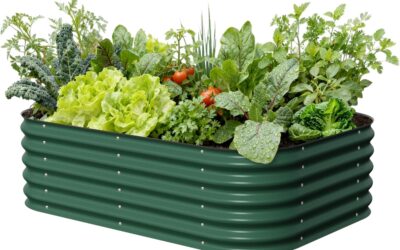 Best Galvanized Raised Garden Beds 2026: Reviews and Buying Guide