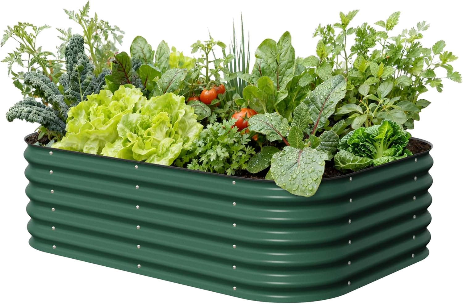 Best Galvanized Raised Garden Beds