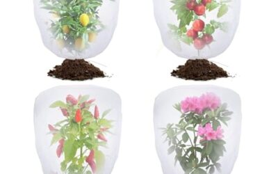 Best Garden Cloche for Pest Protection
