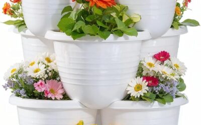 Best Herb Planter For Patio: Reviews and Buying Guide