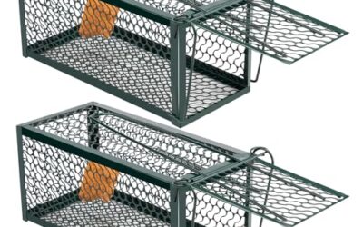 Best Humane Vole Trap for Garden: Value Picks and Premium Options