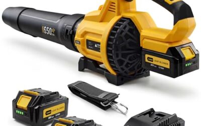 Best Cordless Leaf Blower for Seniors
