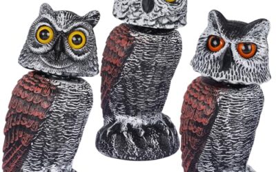 Best Owl Decoy for Garden Pests