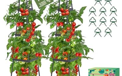 Best Planter For Tomatoes: Reviews and Buying Guide
