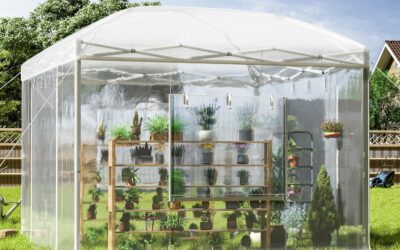 Bestes tragbares Gewächshaus für den Garten 2026: Tests und Kaufberatung