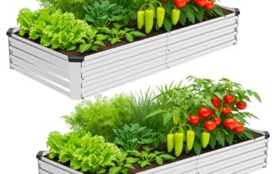 Best Raised Garden Bed for Herbs