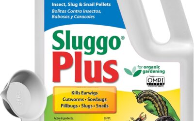 Best Slug Control For Raised Beds 2026: Reviews and Buying Guide