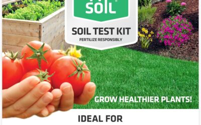 Meilleur kit d’analyse du sol pour jardin potager 2026 : avis et guide d’achat