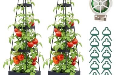 Best Tomato Planter with Trellis for Real-World Use