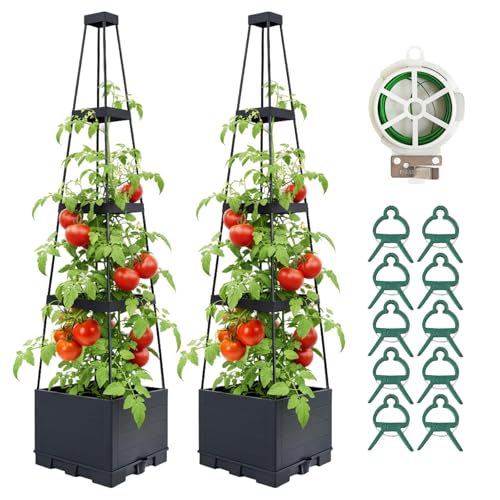 Best Tomato Planter with Trellis for Real-World Use