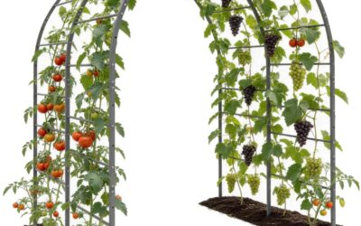 Best Trellis For Raised Garden Beds 2026: Reviews and Buying Guide