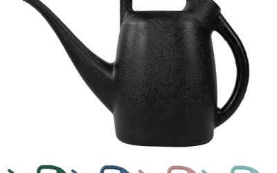 Best Watering Can For Indoor Plants: Reviews and Buying Guide