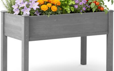 Cedar Raised Garden Bed 2026: Reviews and Buying Guide