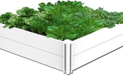 Diy Raised Garden Bed 2026: Reviews and Buying Guide