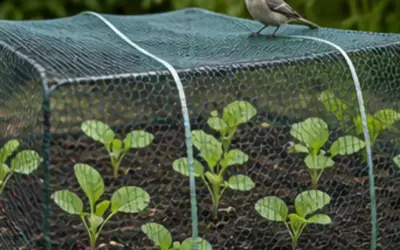 How To Protect Seedlings From Birds 2026: Reviews and Buying Guide