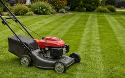 How To Stripe A Lawn With A Push Mower 2026: Reviews and Buying Guide