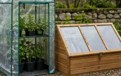 Portable Greenhouse Vs Cold Frame 2026: Reviews and Buying Guide