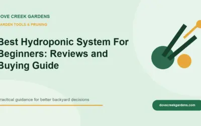 Best Hydroponic System For Beginners 2026: Reviews and Buying Guide