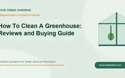 How To Clean A Greenhouse 2026: Reviews and Buying Guide