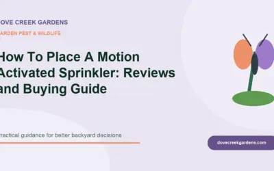 How To Place A Motion Activated Sprinkler 2026: Reviews and Buying Guide