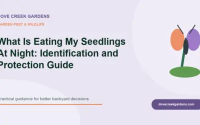 What Is Eating My Seedlings At Night 2026: Identification and Protection Guide