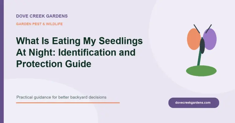 What Is Eating My Seedlings At Night: Identification and Protection Guide