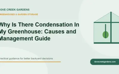 Why Is There Condensation In My Greenhouse 2026: Causes and Management Guide