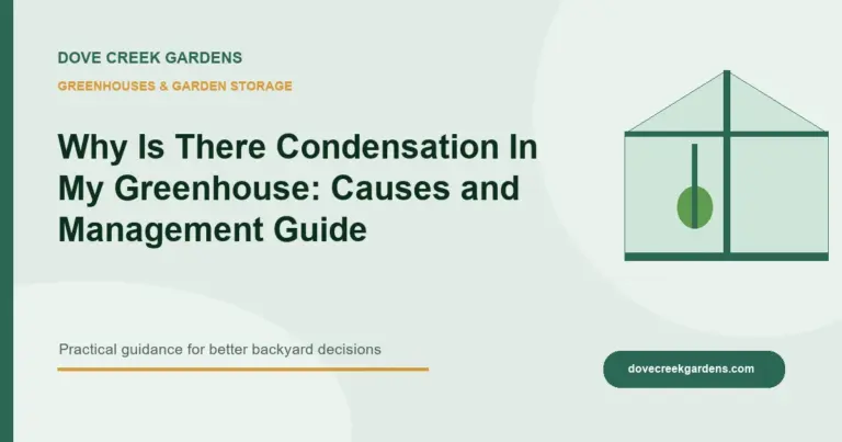 Why Is There Condensation In My Greenhouse: Causes and Management Guide
