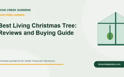 Best Living Christmas Tree 2026: Reviews and Buying Guide