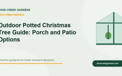 Outdoor Potted Christmas Tree Guide 2026: Porch and Patio Options
