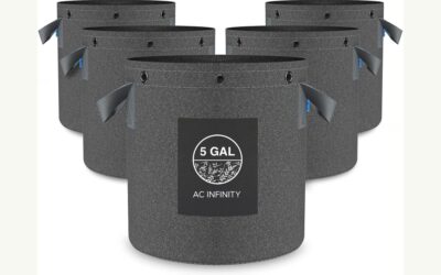 Best Fabric Grow Bags For Tomatoes 2026: Reviews and Buying Guide