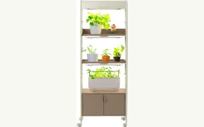 Best Greenhouse Shelving For Seedlings 2026: Reviews and Buying Guide