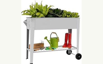 Raised Garden Bed Wheelchair Accessible 2026: Reviews and Buying Guide