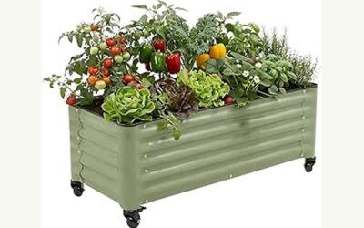 Wheelchair Accessible Garden Beds 2026: Reviews and Buying Guide