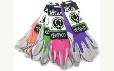 Quality Garden Gloves 2026: Reviews and Buying Guide
