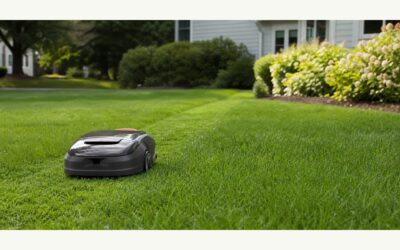 Do Robotic Lawn Mowers Work 2026: Reviews and Buying Guide