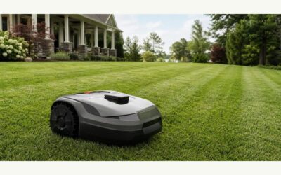 Robotic Lawn Mower For Large Yard 2026: Reviews and Buying Guide